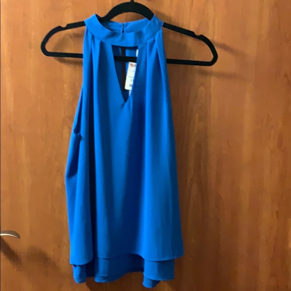 Blue Blouse